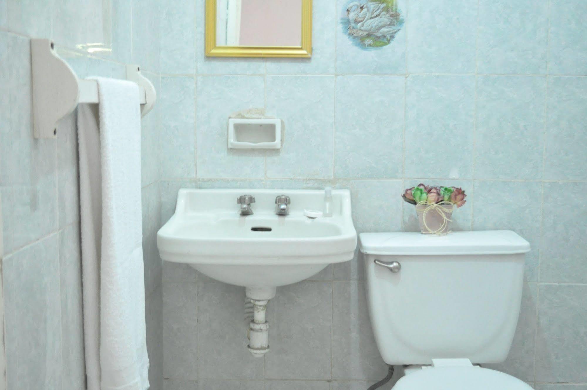 Hotel San Carlos Irapuato Esterno foto